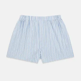 Blue Multi Stripe Godfrey Boxer Shorts