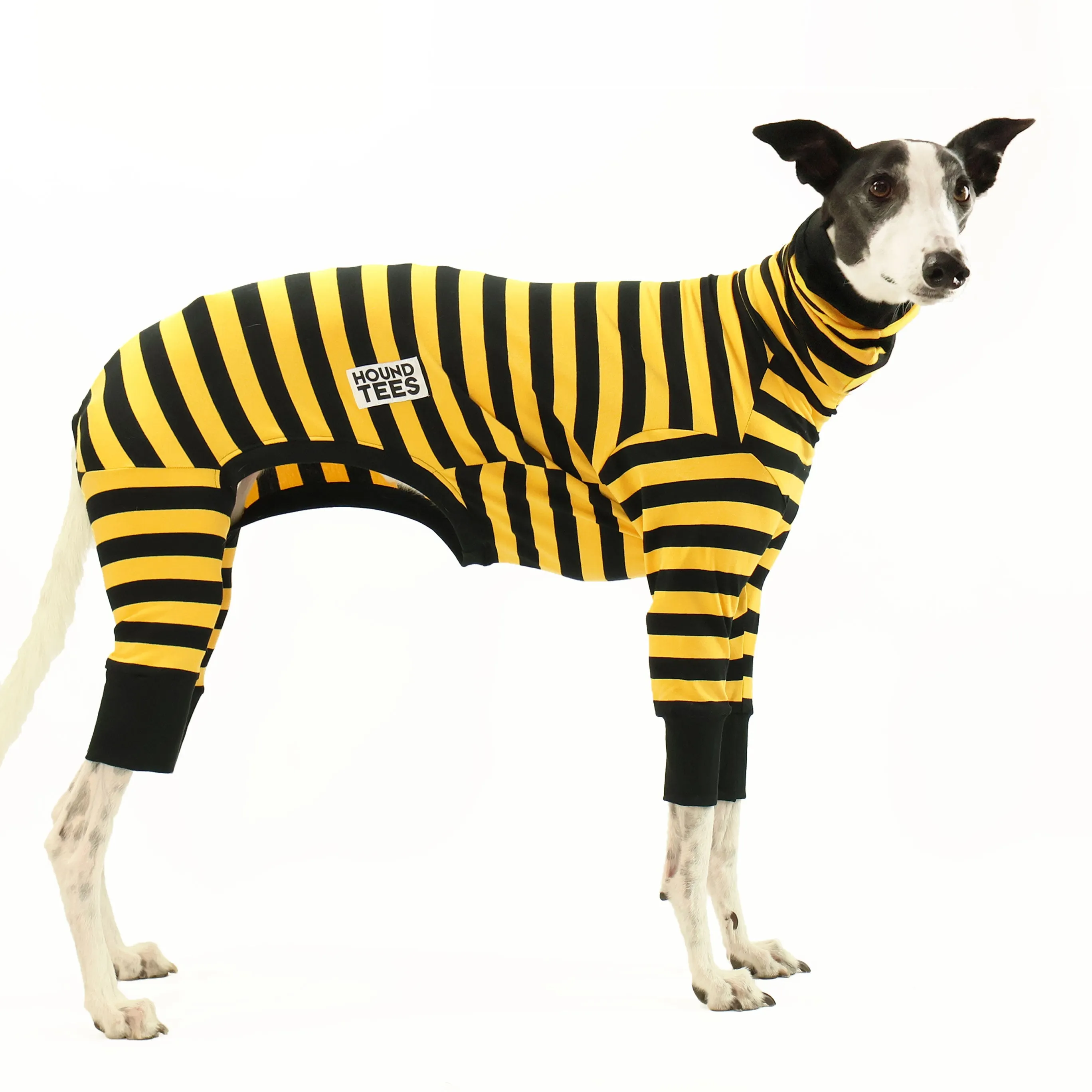 Odlaw Greyhound Long Johns