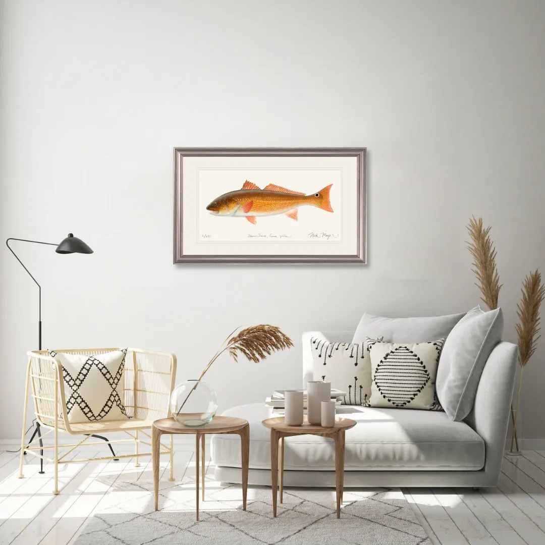 Redfish, 15 lbs. Print